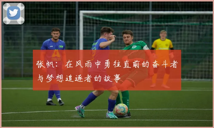张帆：在风雨中勇往直前的奋斗者与梦想追逐者的故事