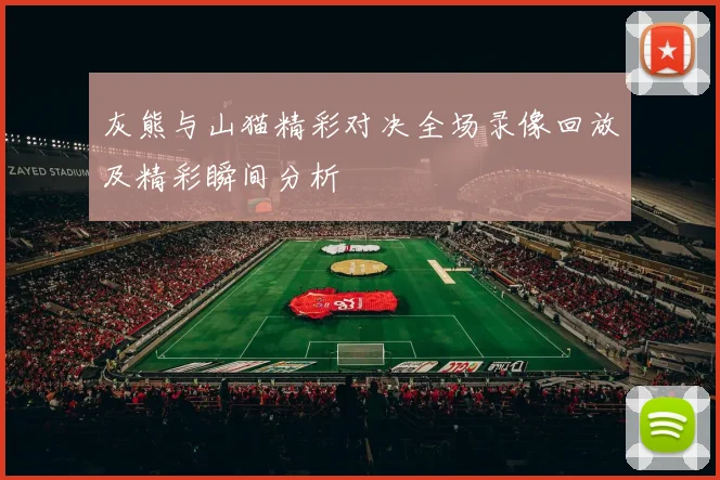 灰熊与山猫精彩对决全场录像回放及精彩瞬间分析