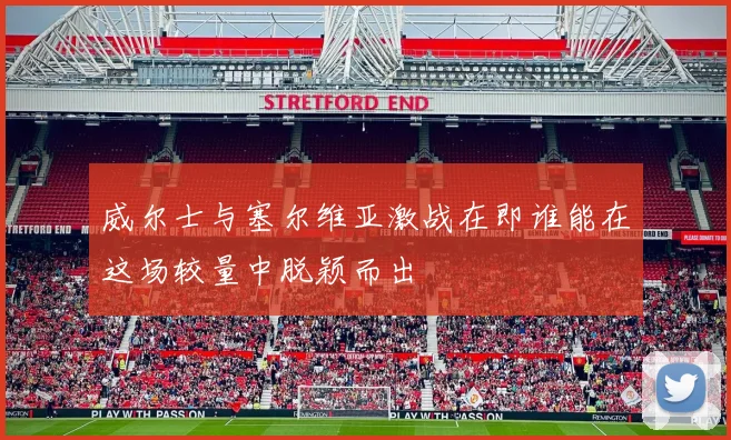 威尔士与塞尔维亚激战在即谁能在这场较量中脱颖而出
