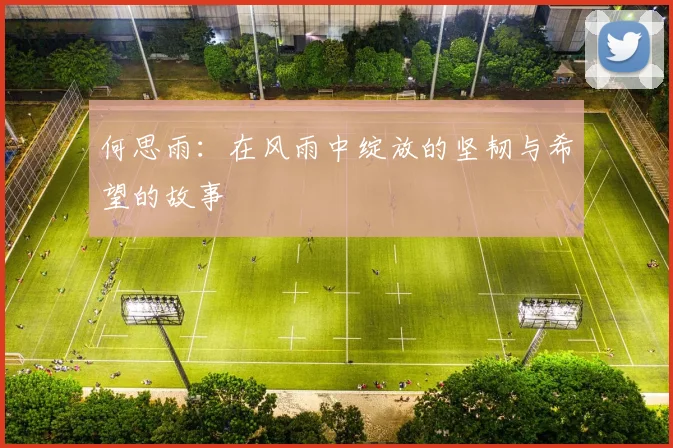 何思雨：在风雨中绽放的坚韧与希望的故事